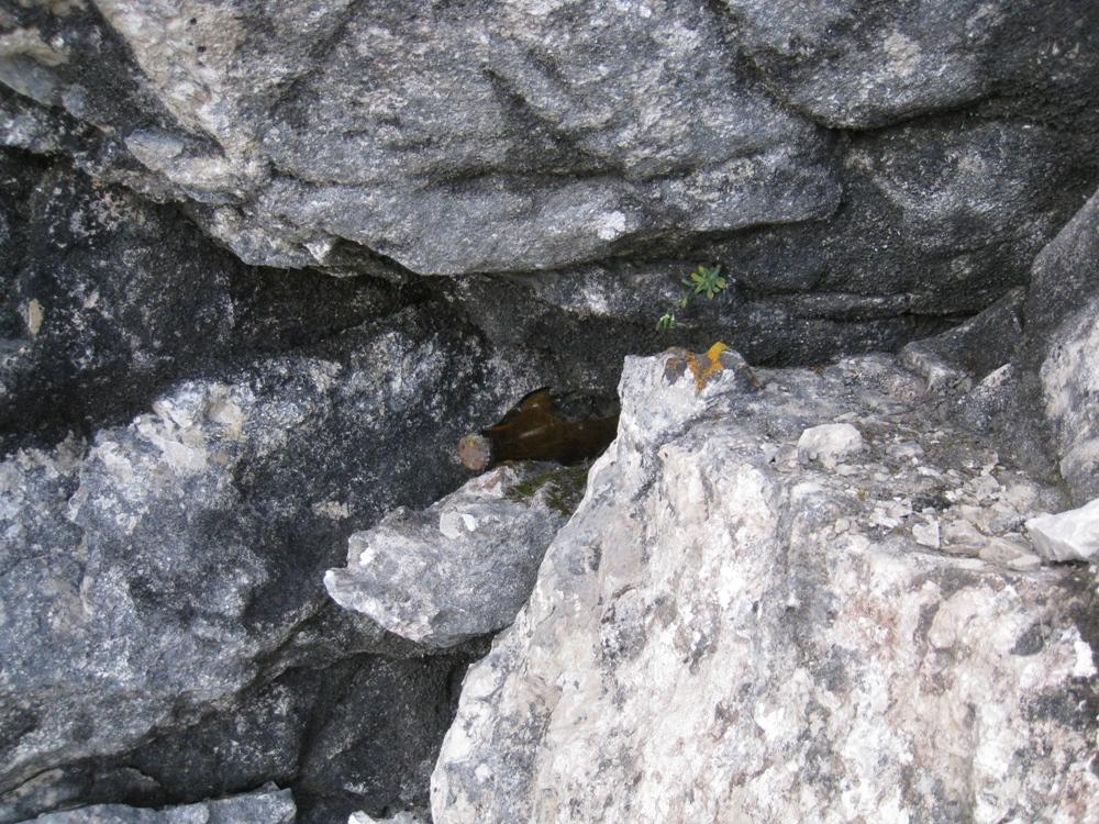 Sledi staroselcev :) mojstrovka_sledi