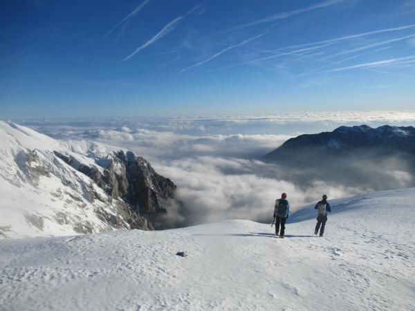 Direktna, Štajerska Rinka