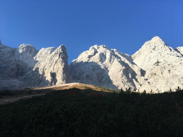Vzhodna smer v Mali rinki