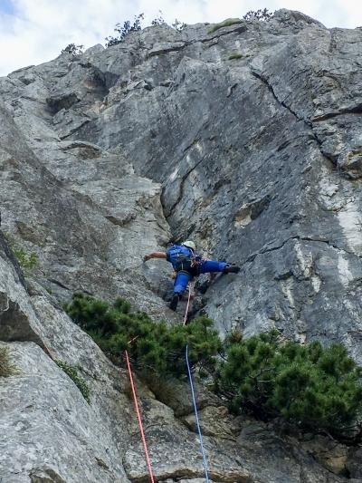 Ko je nemir prevelik ali Šentanska po službi