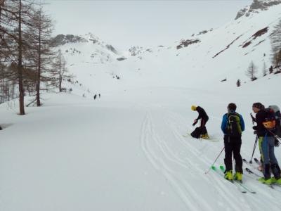 Vzhodna direktiva z malih mandlov